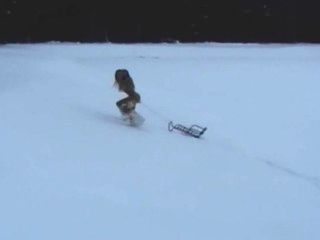兩個赤裸十幾歲獲得樂趣在雪